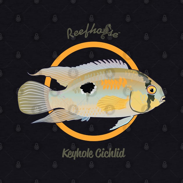 Keyhole Cichlid by Reefhorse